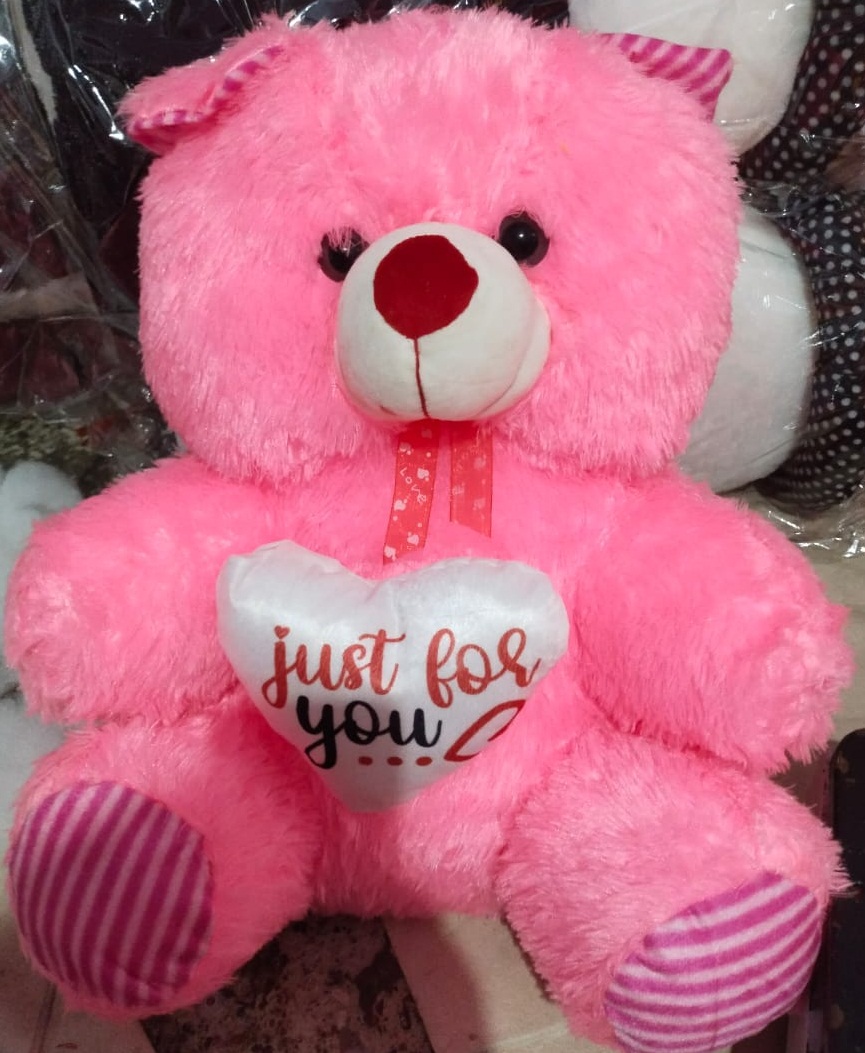 Dil Teddy No.5