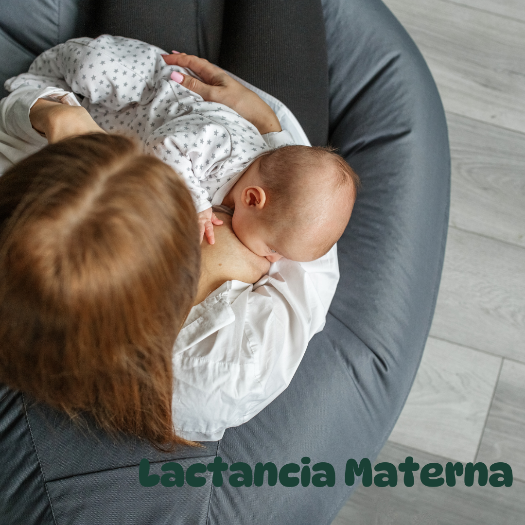 Guía Completa para la Lactancia Materna: Beneficios y Consejos Prácticos