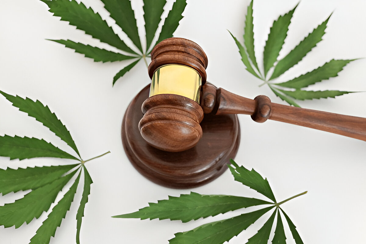 Leyes cannabis