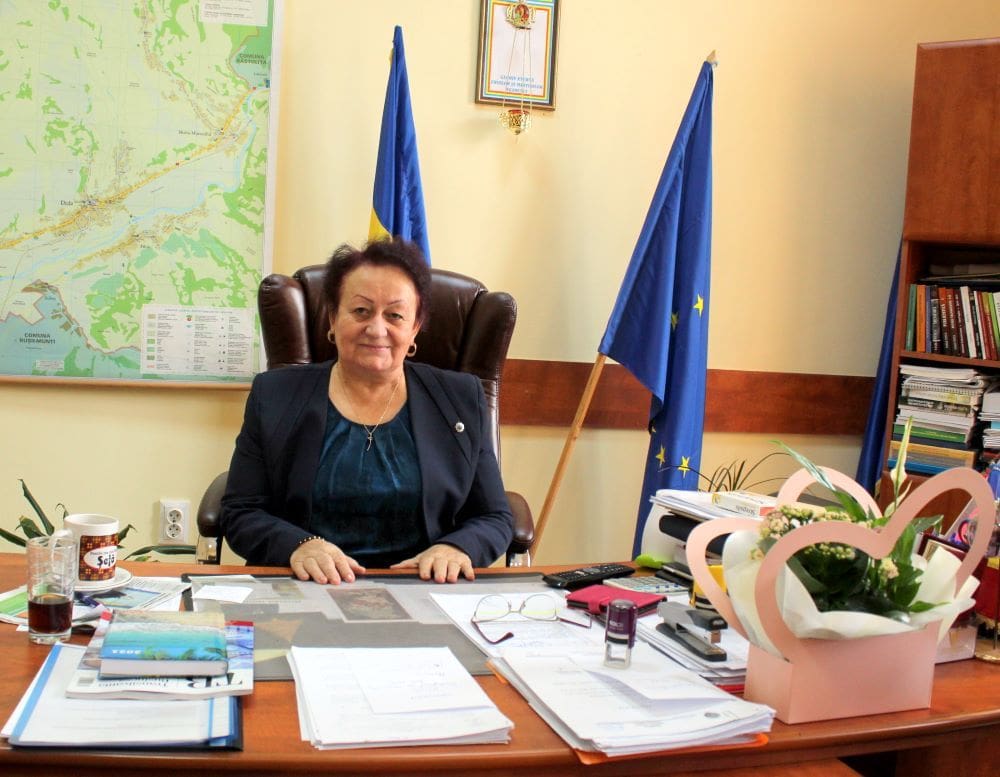 Proiectul de introducere a gazului pe Valea Mureșului Superior avansează în județul Mureș