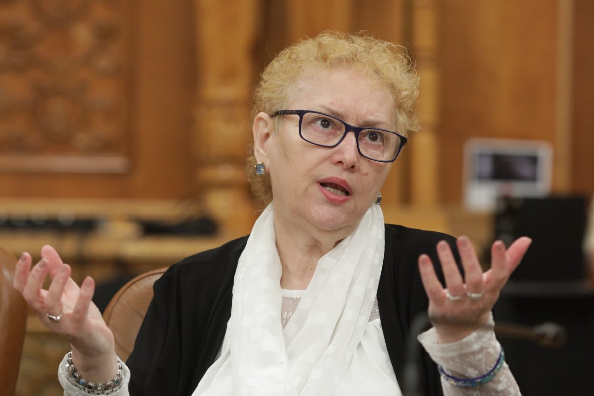 Judecată la Curtea Constituțională a României
