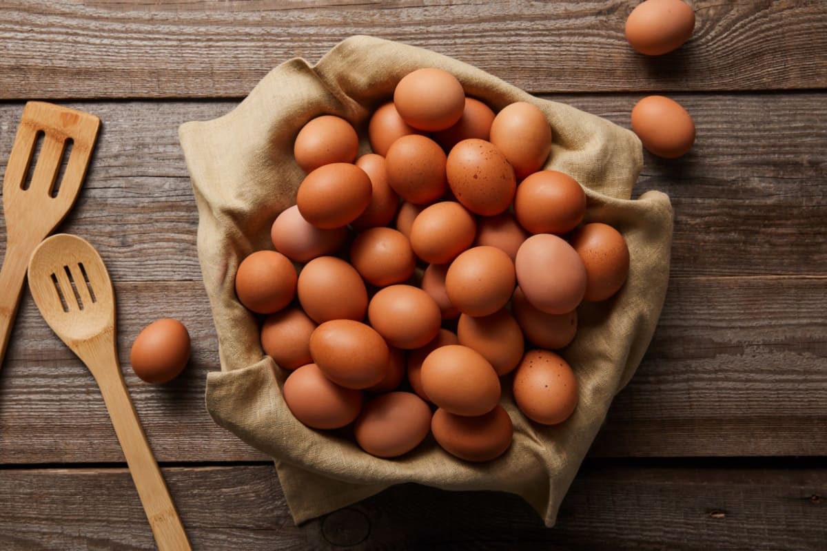 Oul și creierul uman ilustrând legătura dintre nutriție și sănătatea cognitivă Oul și creierul uman ilustrând legătura dintre nutriție și sănătatea cognitivă
