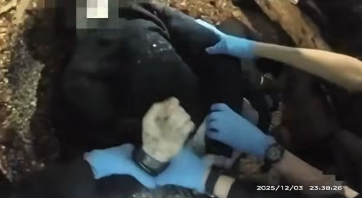 Polițiști britanici încătușând un adolescent grav rănit în Southampton