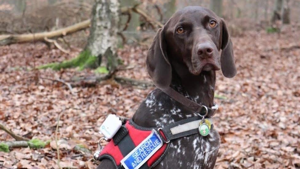 Echipaj de salvare britanic recuperând un câine din largul coastelor