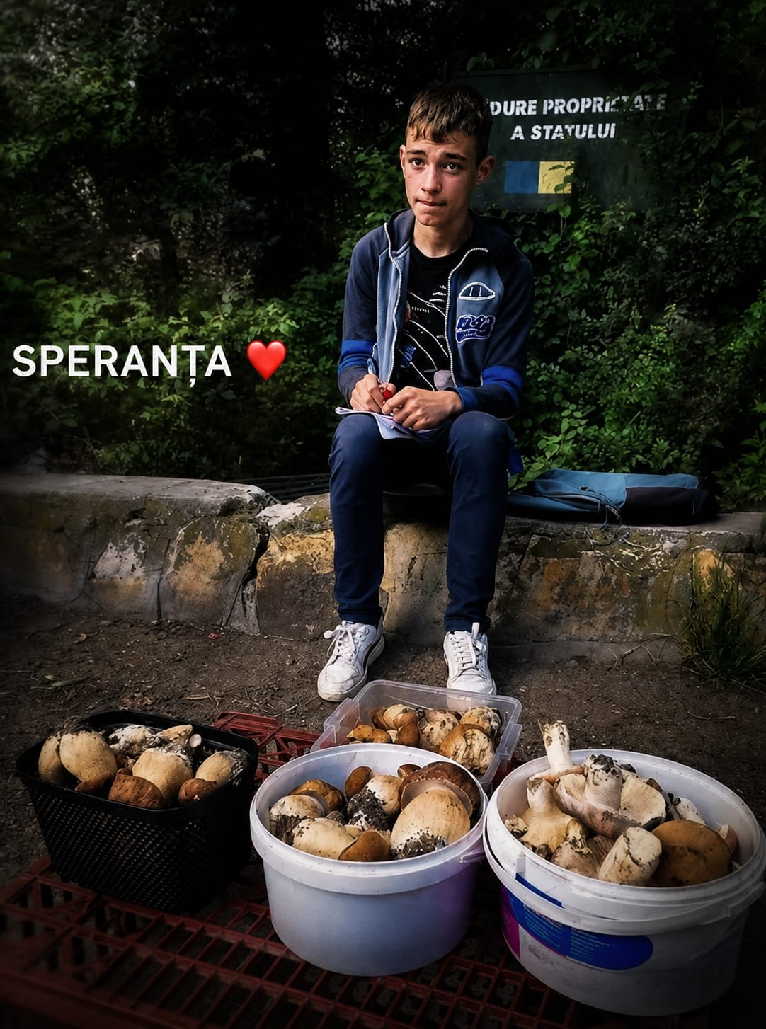 Un băiat de 13 ani vinde hribi la marginea drumului pentru a-și ajuta familia — și citește în timp ce așteaptă clienții. Povestea lui a devenit virală