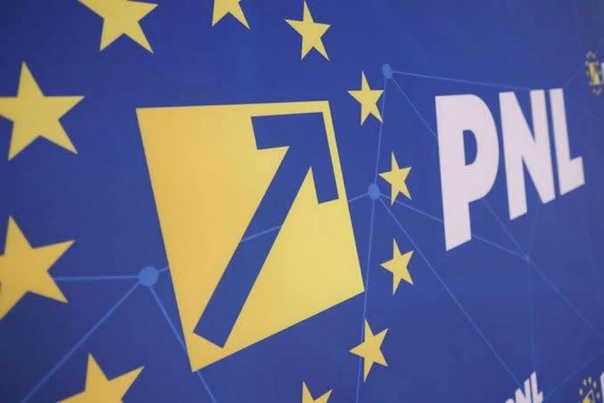 Lideri politici în discuție, sala de conferințe, simboluri politice românești Lideri politici în discuție, sala de conferințe, simboluri politice românești