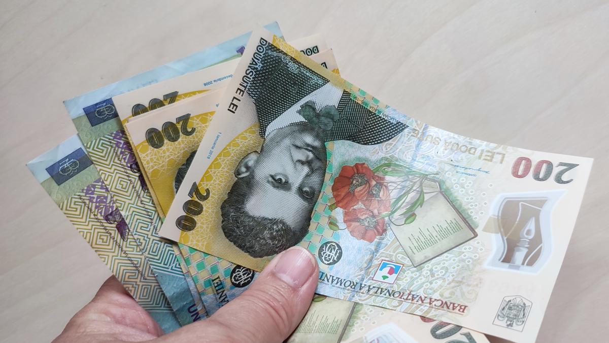 Femeie pensionară verificând documente de pensie pe calculator Femeie pensionară verificând documente de pensie pe calculator
