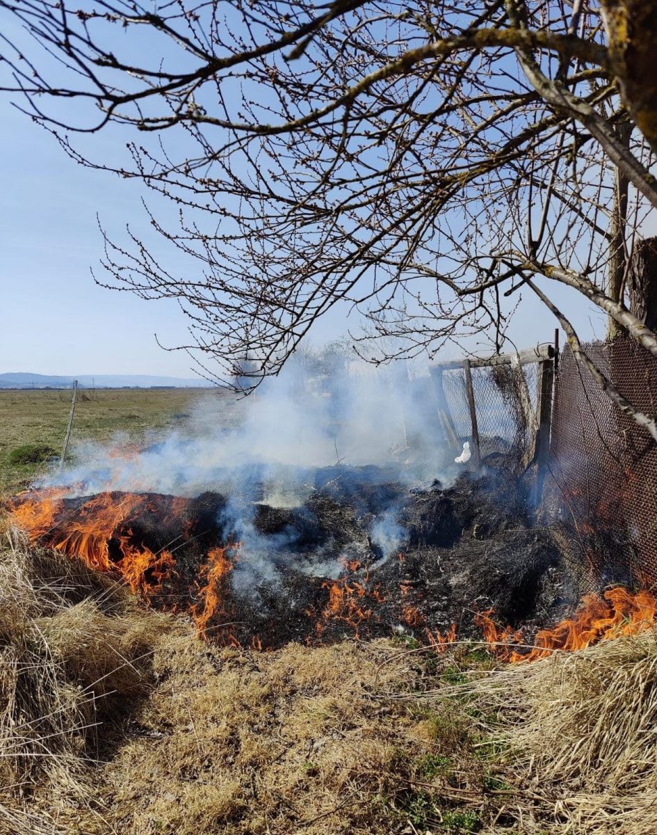pompieri intervenind la incendiu de vegetație în Tulcea pompieri intervenind la incendiu de vegetație în Tulcea