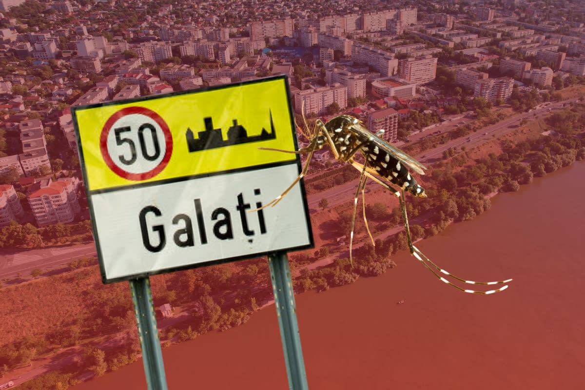 Echipaj de dezinsecție în Galați, acțiune împotriva țânțarilor