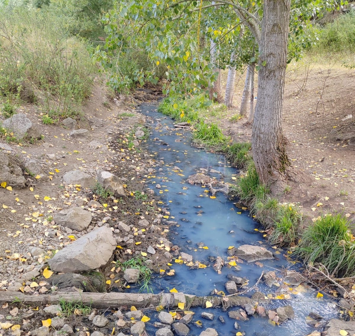 pârâu din Cheile Turenilor cu apă închisă la culoare și pietre negre pârâu din Cheile Turenilor cu apă închisă la culoare și pietre negre