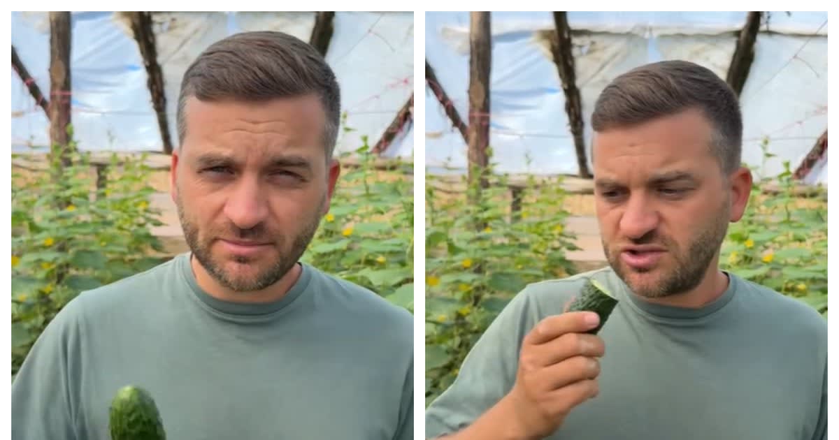 fermier oferind castraveți din solar în Galați fermier oferind castraveți din solar în Galați