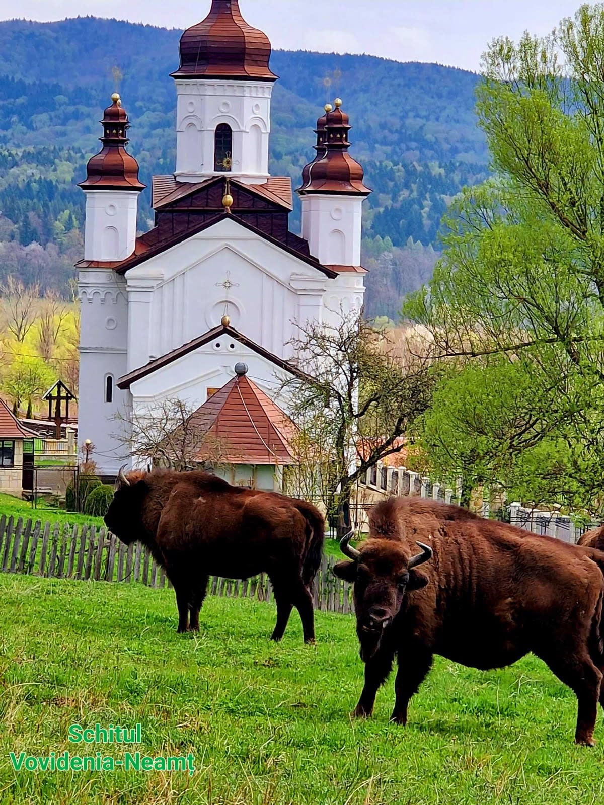 peisaj cultural monahal, mănăstiri, munți, peisaj natural peisaj cultural monahal, mănăstiri, munți, peisaj natural