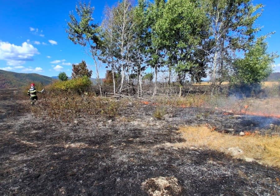 flăcări de vegetație, pompieri intervenind în Bihor