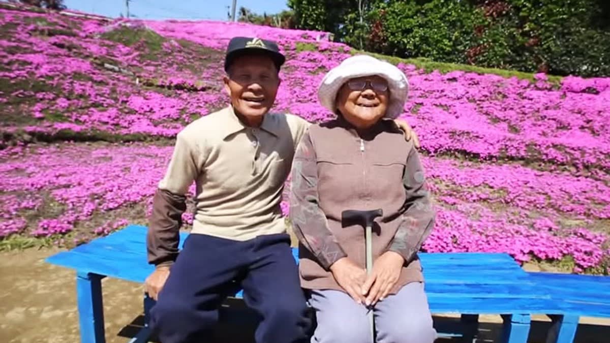 Grădină cu mii de flori roz în Japonia, dedicată soției nevăzătoare