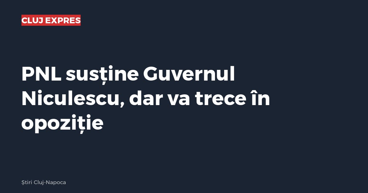 PNL susține Guvernul Niculescu, dar va trece în opoziție
