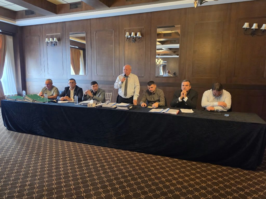 sedință AJVPS Vâlcea, membrii votând sedință AJVPS Vâlcea, membrii votând