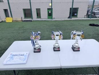 tineri fotbaliști la Cupa Hușana, oficiali județeni în vizită tineri fotbaliști la Cupa Hușana, oficiali județeni în vizită