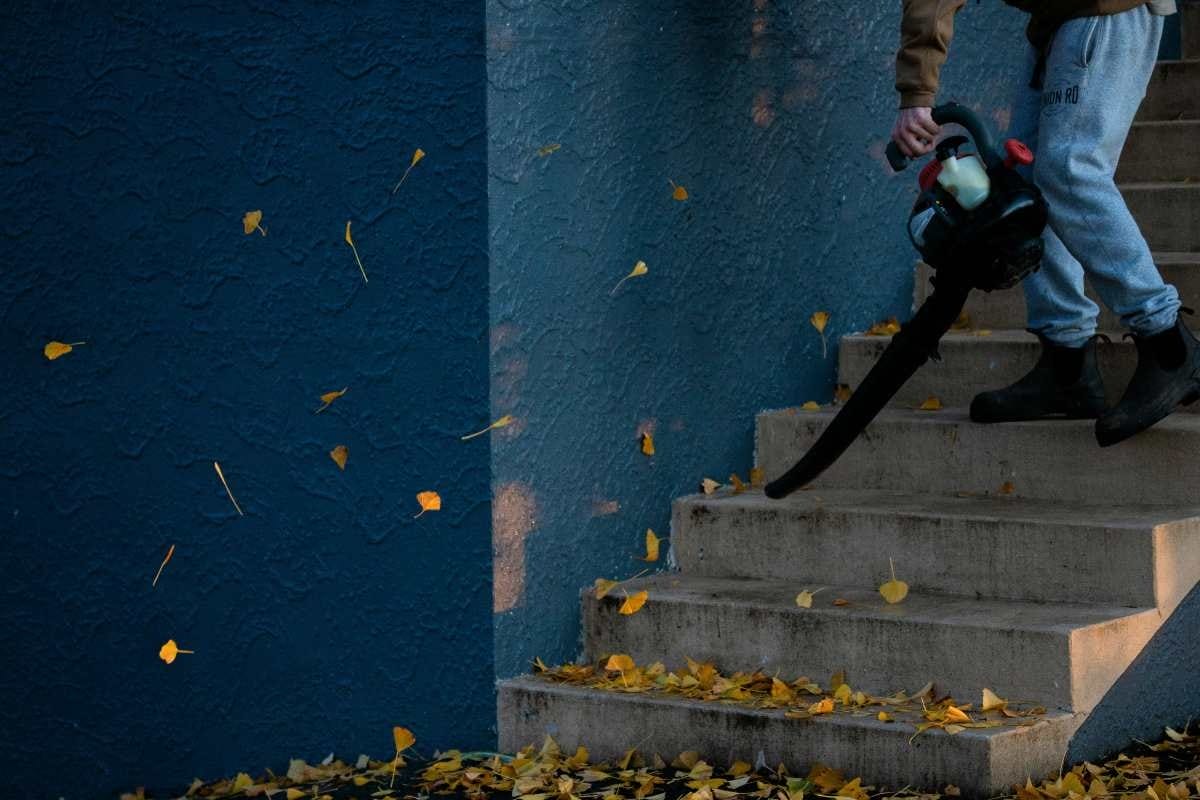 suflanta de frunze în acțiune în curte