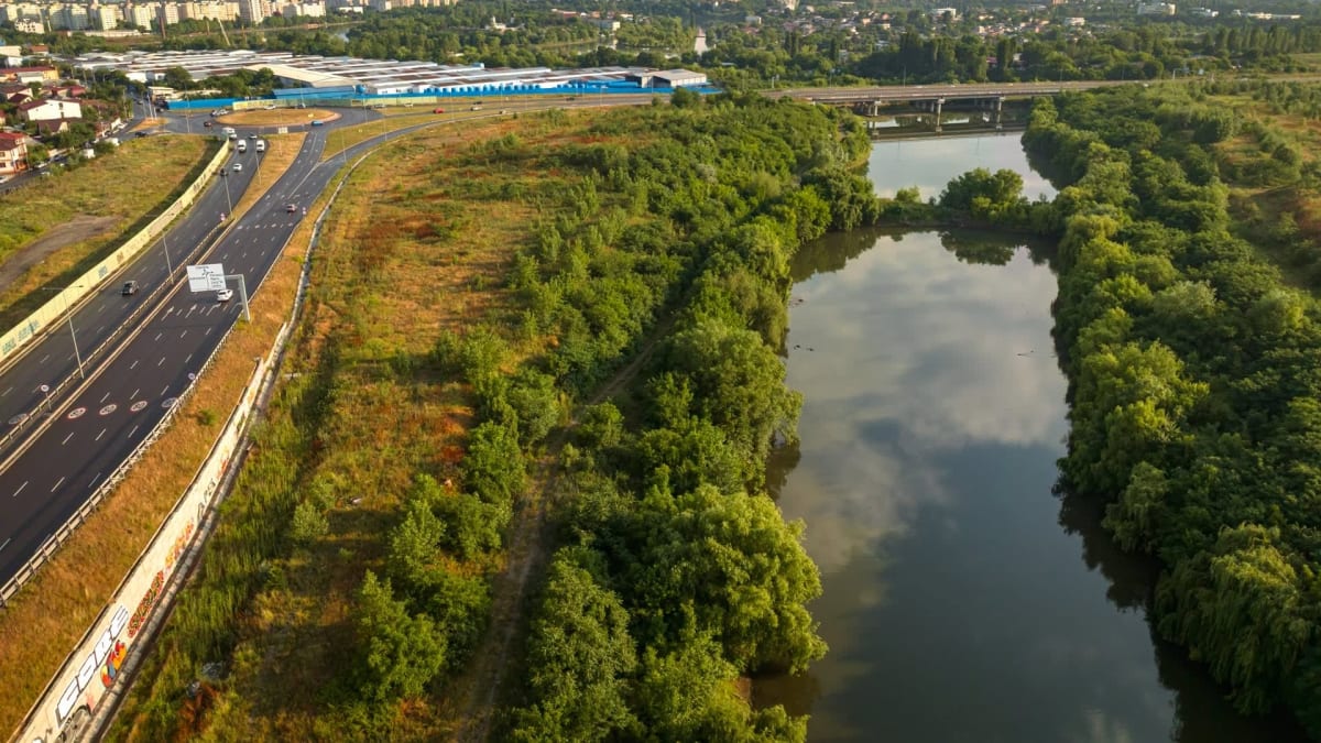 zona naturală Valea Saulei, lacuri, pădure de luncă, păsări și animale