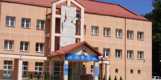 erdő, faanyag, erdőgazdálkodás, Toplița