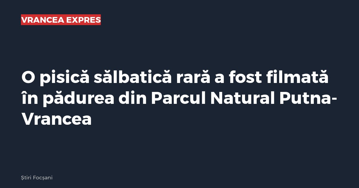 Imagine cu caracter ilustrativ