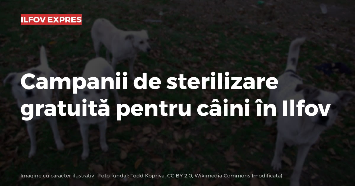Imagine cu caracter ilustrativ