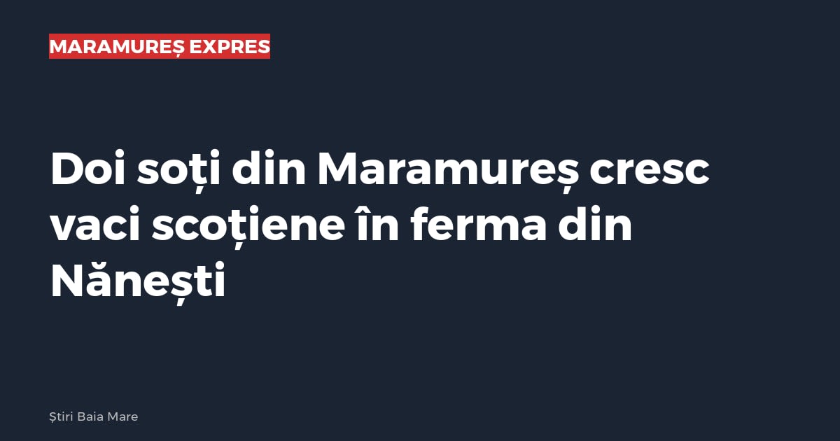 Imagine cu caracter ilustrativ