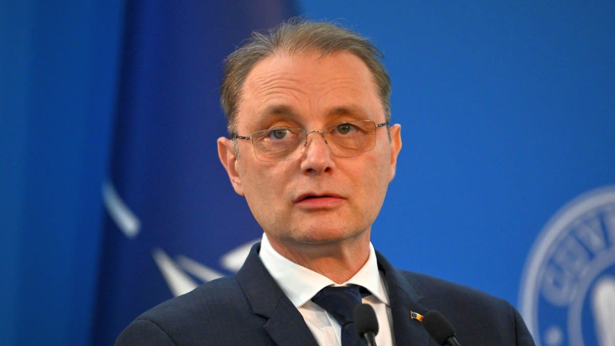 Luca Niculescu la o conferință de presă