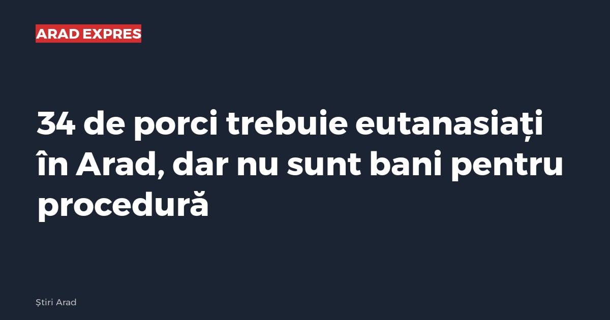 34 de porci trebuie eutanasiați în Arad, dar nu sunt bani pentru procedură
