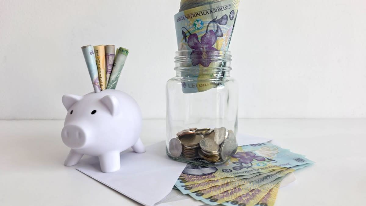 Curs valutar BNR, euro și dolar