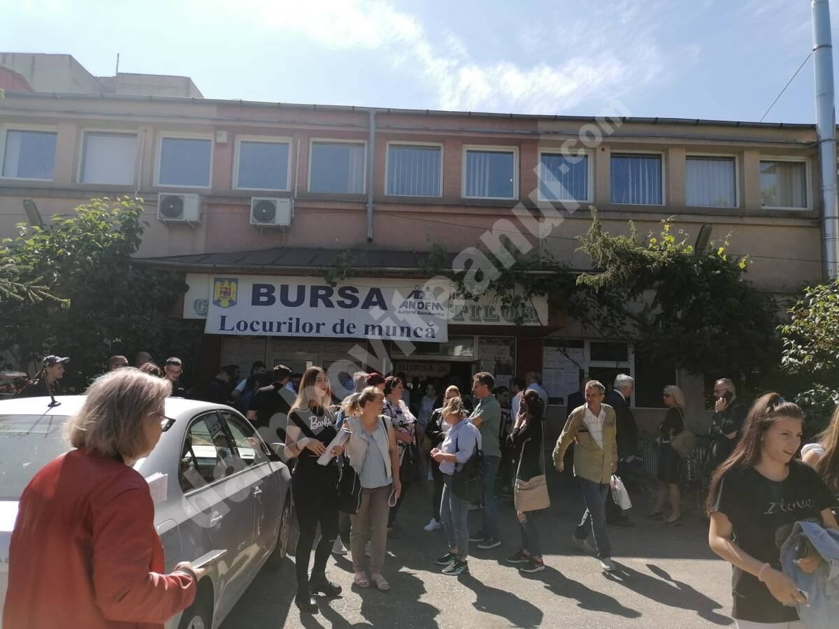 Bursa locurilor de muncă la Sighetu Marmației