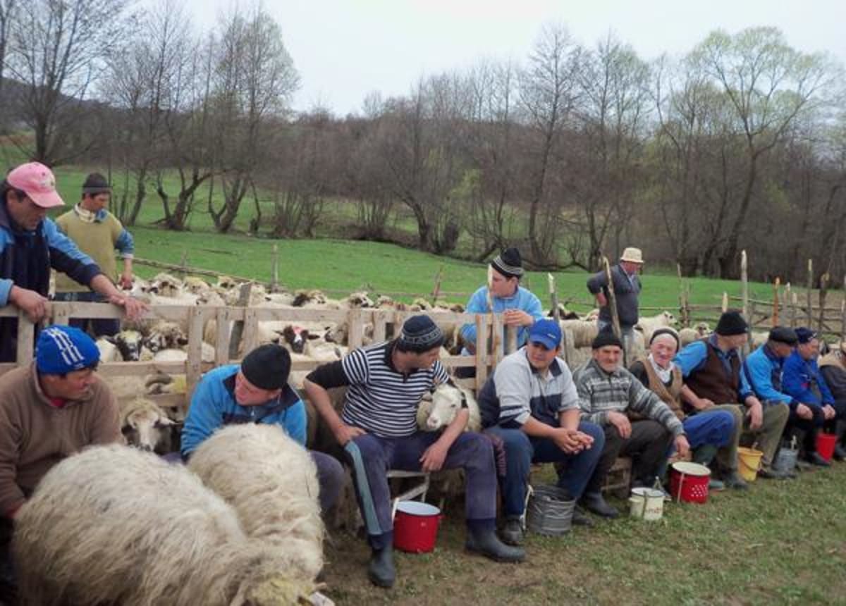 Spectacol folcloric în aer liber la Măgura Priei, Sălaj