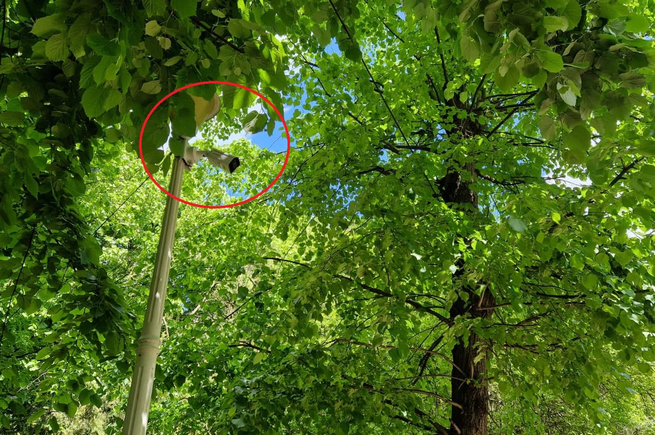 Camere de supraveghere montate la ghenele de gunoi din Ploiești
