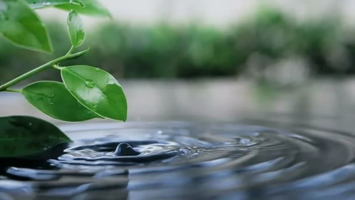 Sălăjeni colectând selectiv deșeurile în insula ecologică din Zalău