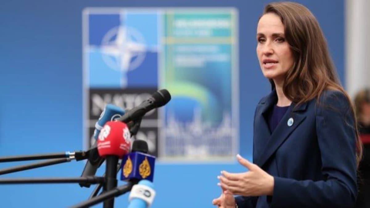 Ministrul interimar de externe, Oana Ţoiu, explicând măsurile diplomatice