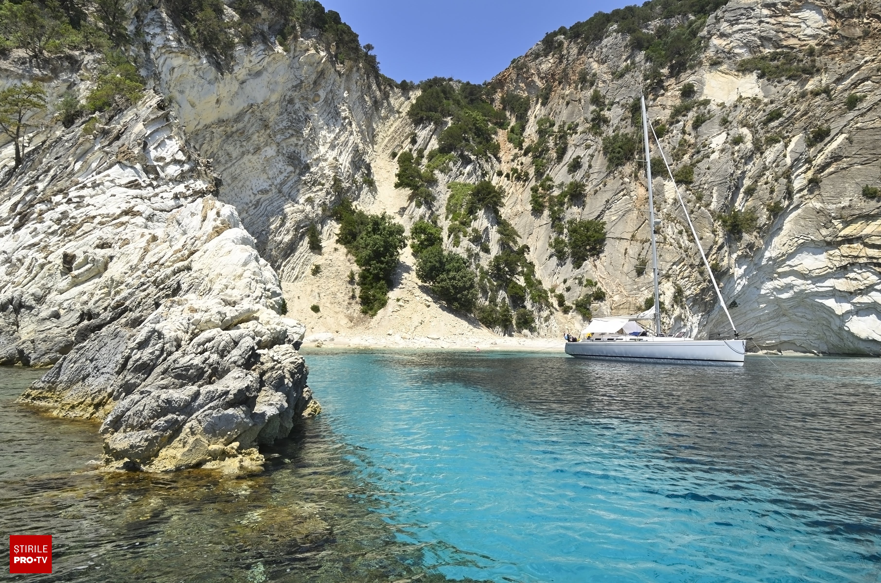 Porci sălbatici înotând lângă turiști pe plaja din Atokos, Grecia