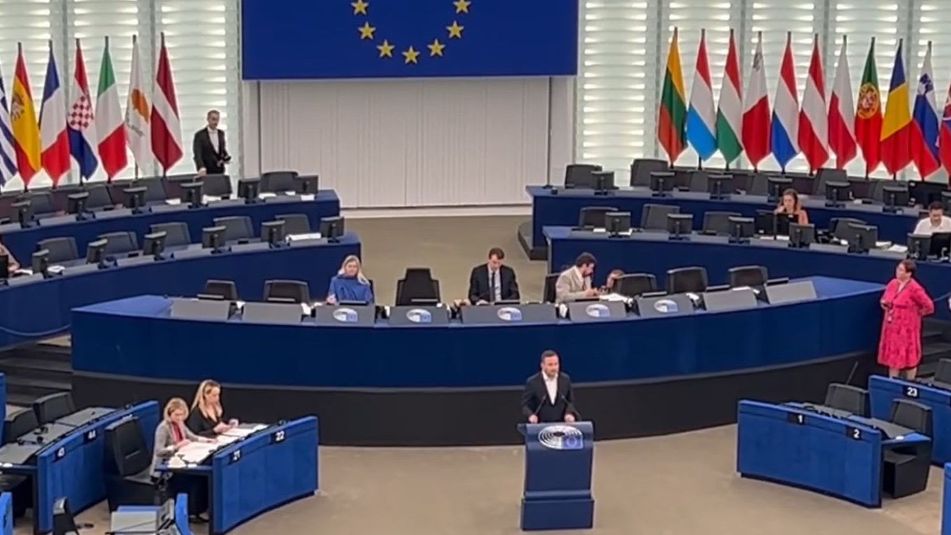 Nicu Ștefănuță la Parlamentul European