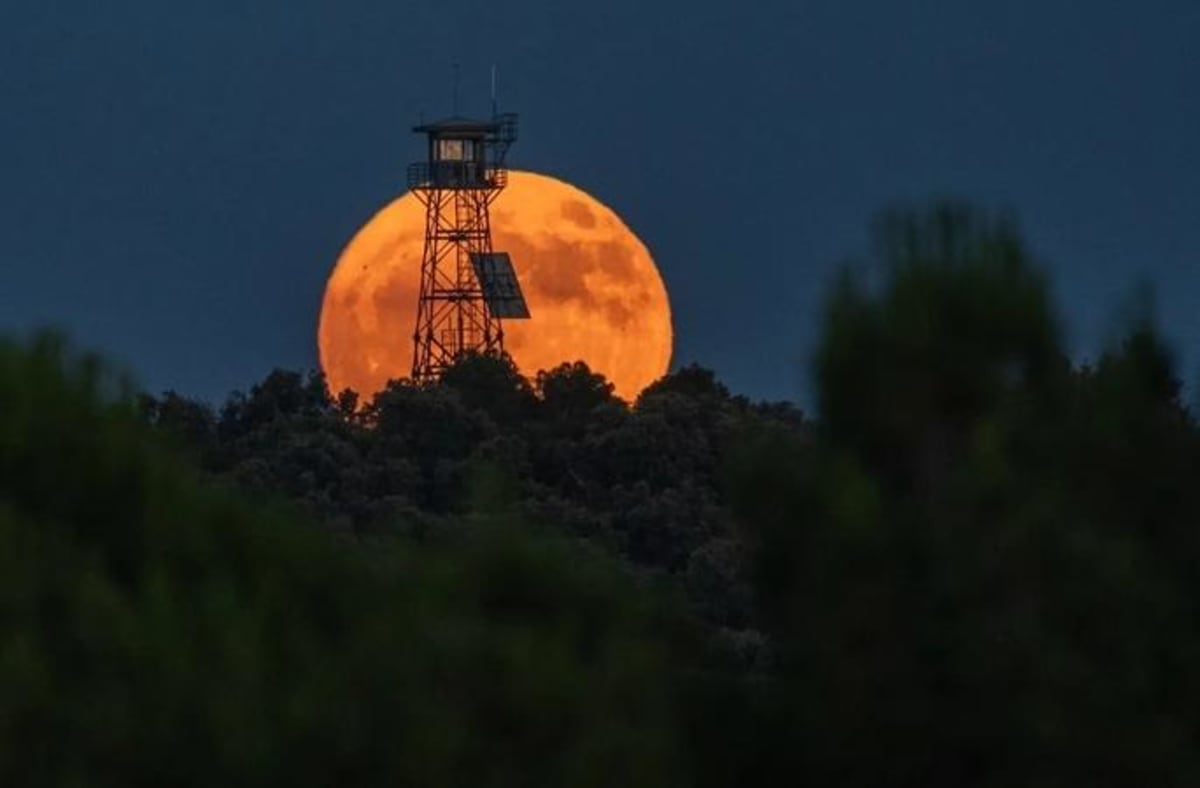 Luna plină deasupra orizontului, cer senin, peisaj rural