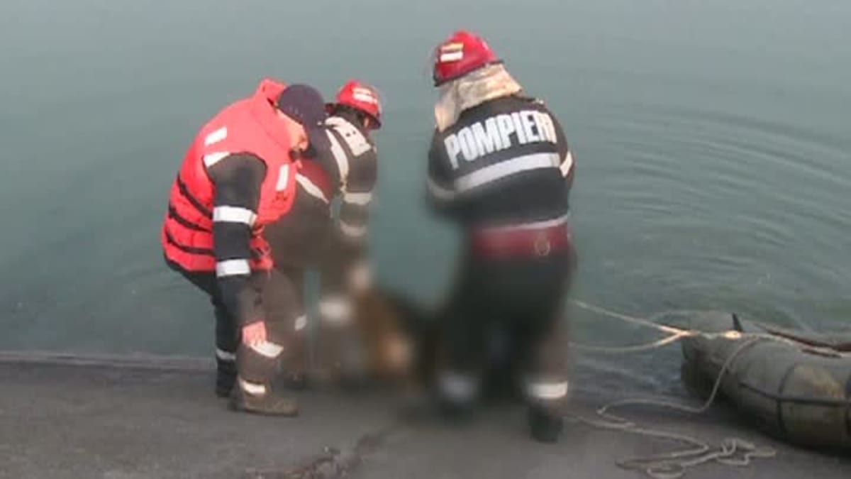 Pompieri în intervenție pe râul Someș, echipamente de scufundare Pompieri în intervenție pe râul Someș, echipamente de scufundare
