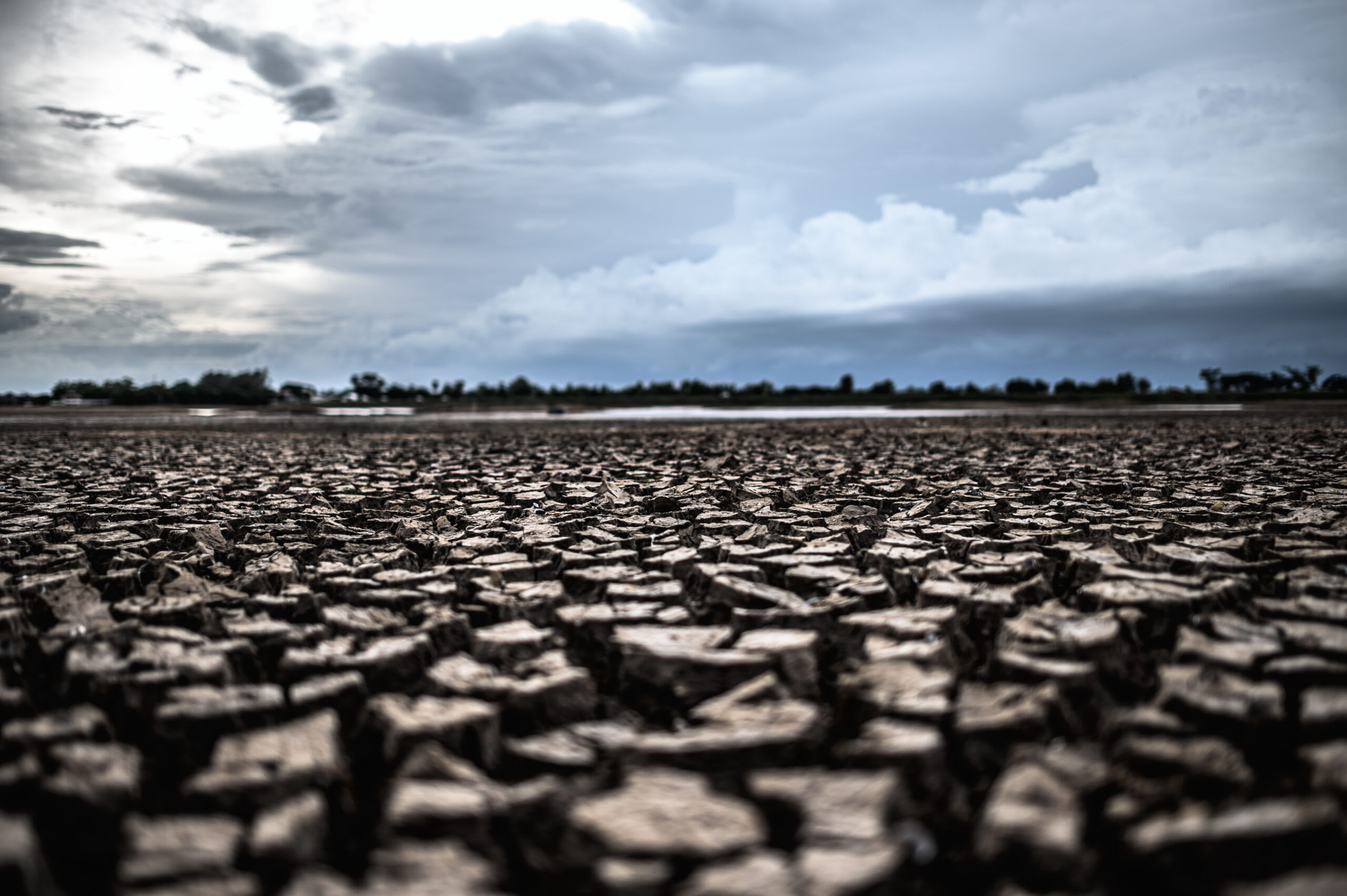 Ocean Pacific cu valuri mari și cer înnorat, simbolizând fenomenul El Niño