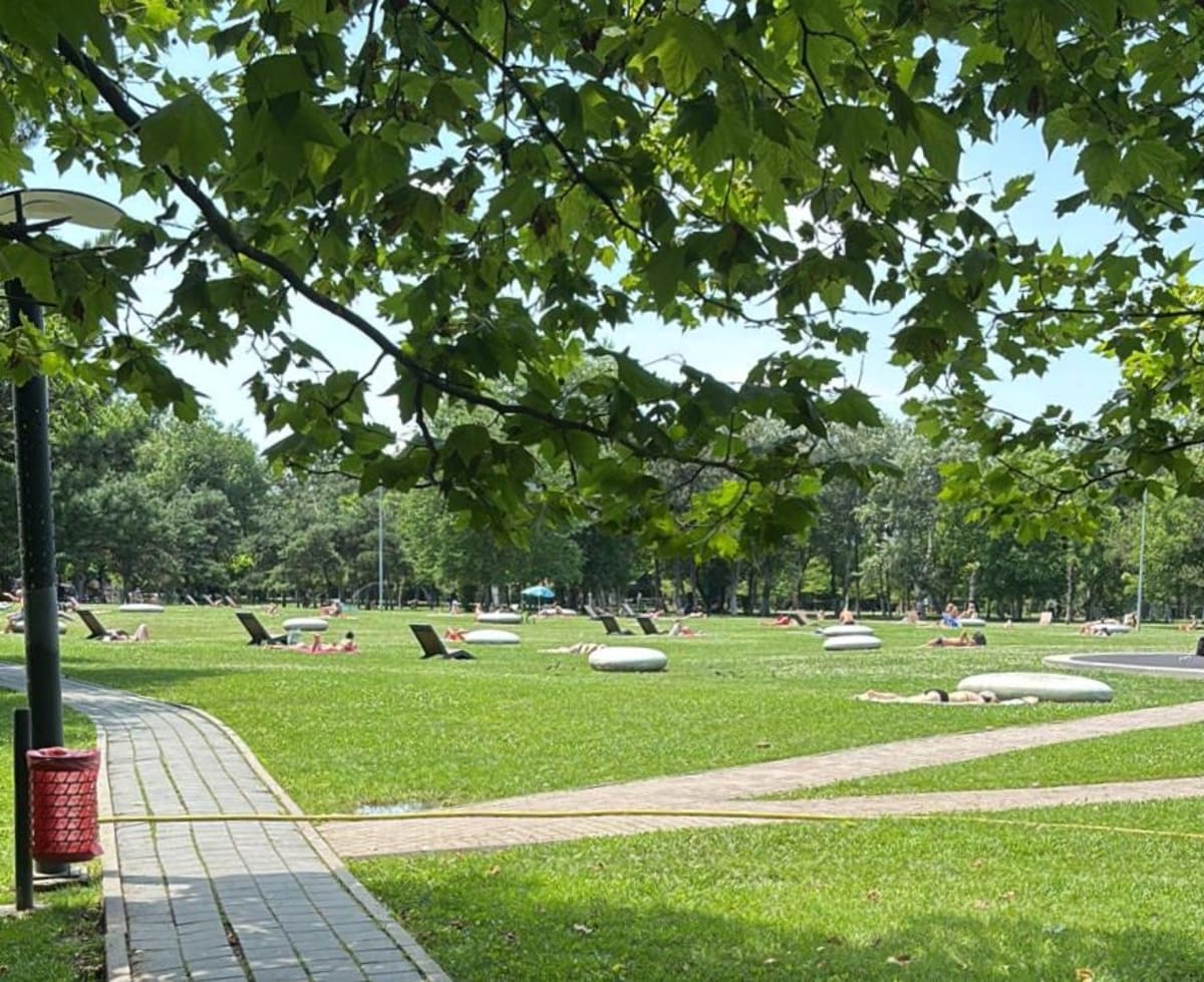 Parcul Alexandru Ioan Cuza cu oameni la soare și șezlonguri Parcul Alexandru Ioan Cuza cu oameni la soare și șezlonguri