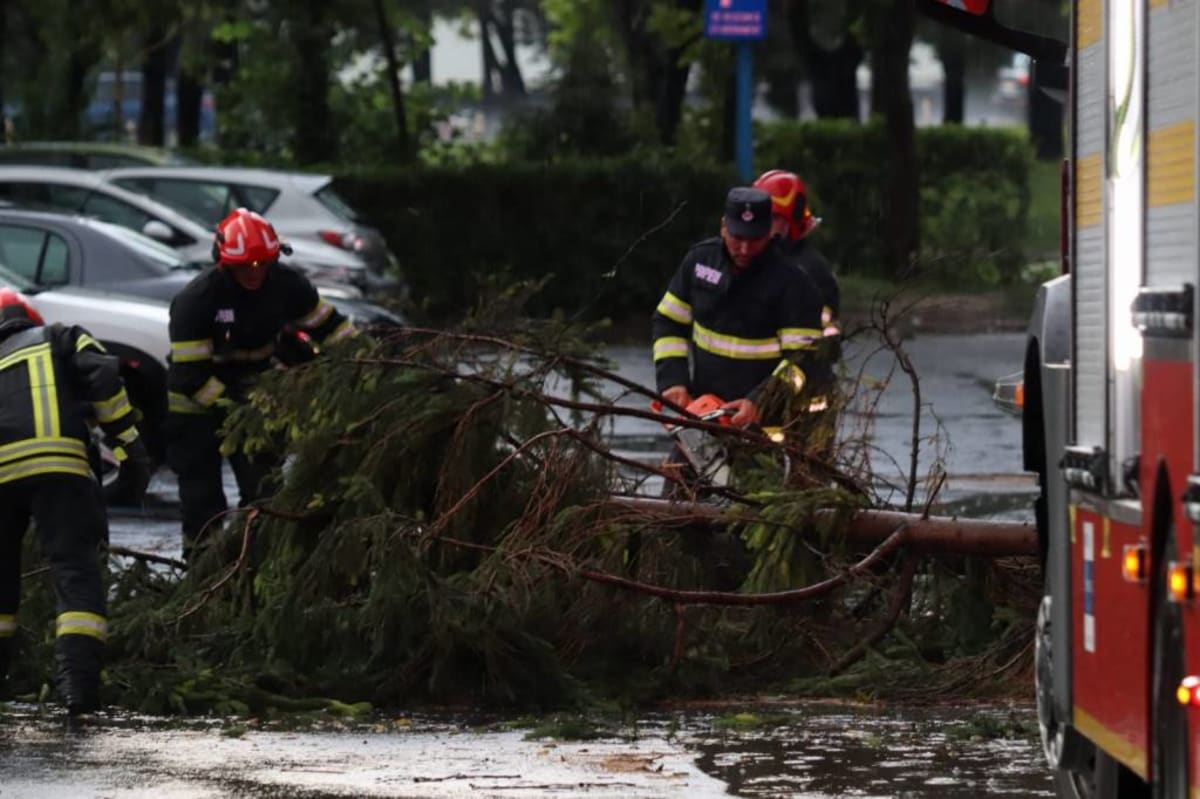 Pompieri intervenind pentru evacuarea apei și copaci doborâți în Brașov