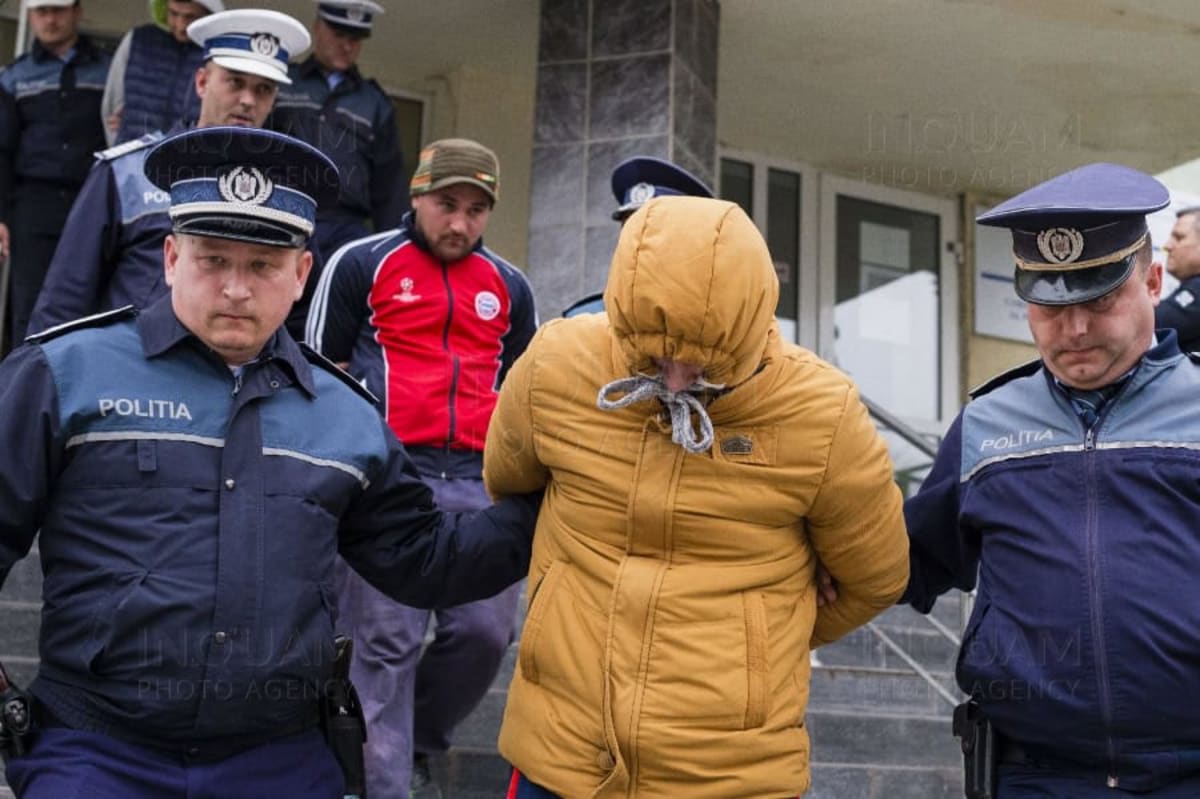 Autoutilitară cu cereale furate surprinsă în noapte în Bihor