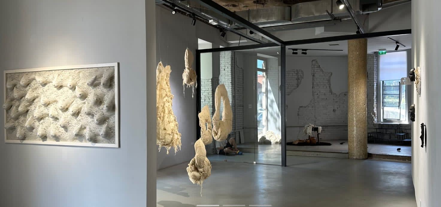 Artiste în galerie, lucrări textile și sculptură, spațiu modern din Cluj-Napoca Artiste în galerie, lucrări textile și sculptură, spațiu modern din Cluj-Napoca