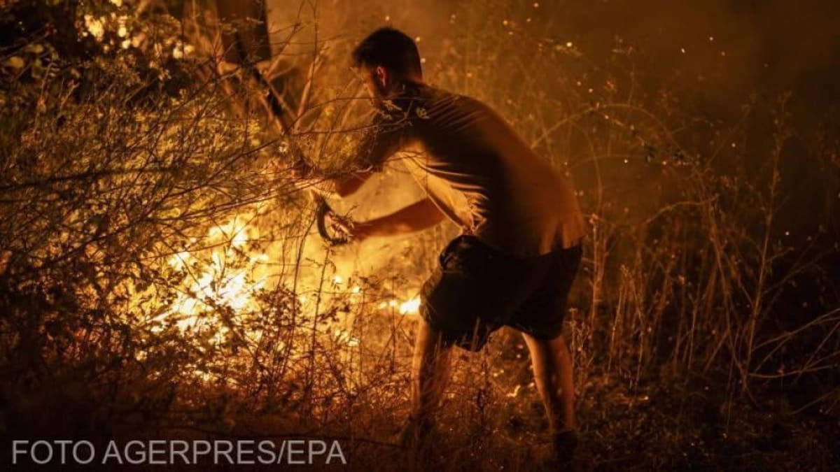 Flăcări mari în pădurea din apropiere de Huelva, Spania