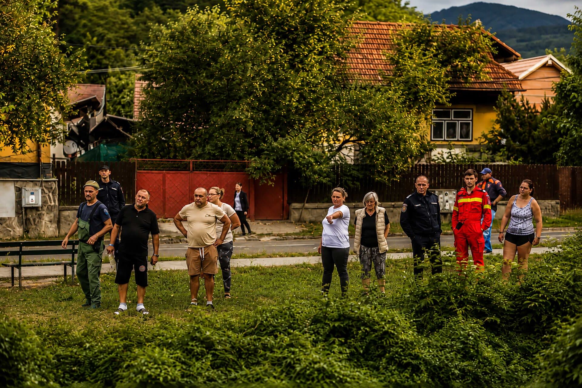 Urs în pădurea din Covasna