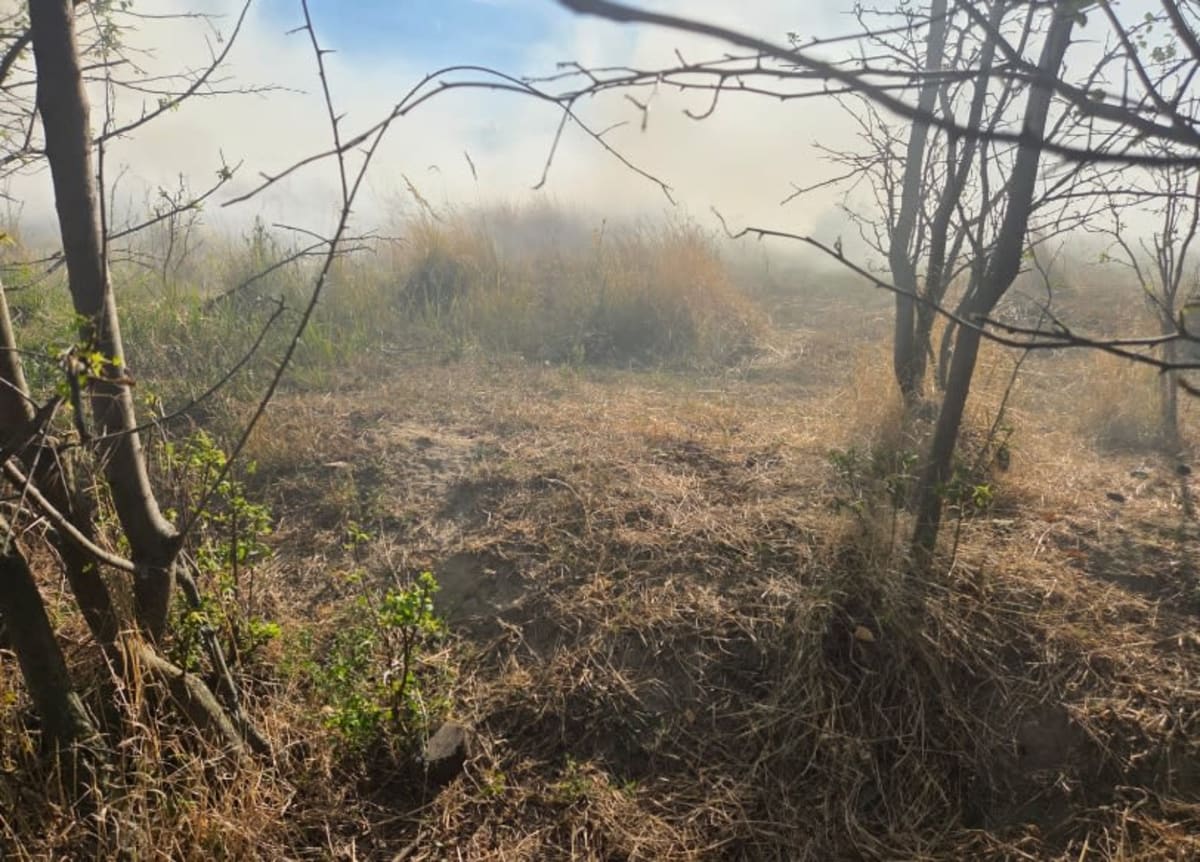 Echipaj ISU stingând un incendiu de vegetație în Vrancea