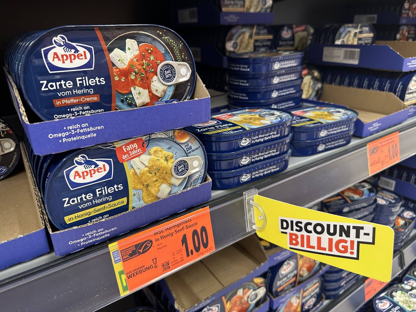 pescuit sardine în largul coastelor Marocului
