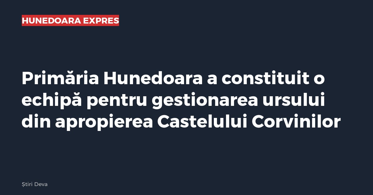 Imagine cu caracter ilustrativ