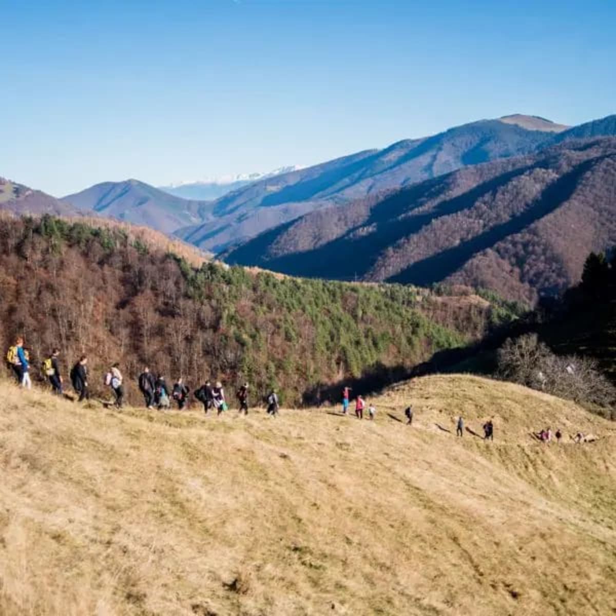 Reșița, drumeție pe Dealul Golului